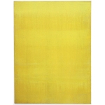 10.11.8.200 - 2010 - Pigment, Acryl, Leinen - 200 x 150 cm